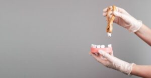 Gloved hands using a model to demonstrate tooth extraction